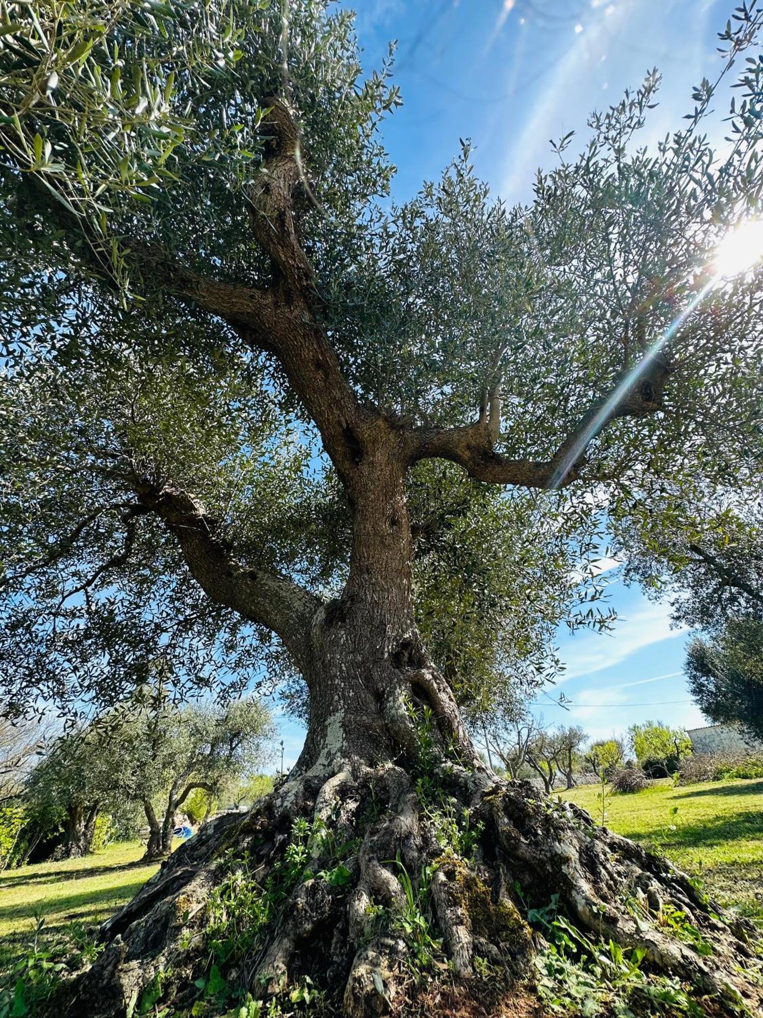Trullo Claf Villa Ostuni Kültér fotó